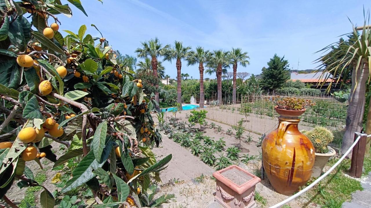 克里斯蒂娜别墅公寓 住宿加早餐酒店 Forio di Ischia